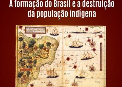 A formação do Brasil e a distribuição da população indígena